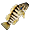 Coreoperca