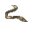 Enguia (grelhado)