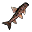 Gobio (grelhado)