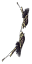 Arco Corvo Negro.png