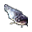 Peixe Gato.png