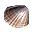 Ostra.png