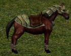 Cavaloarmadopreto.jpg