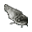 Peixe Gato Morto.png