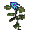 Erva Azul.png