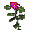 Erva Rosa.png