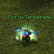 Flor da Tempestade