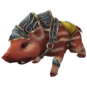 Pet Javali Bebê