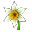 Narciso.png