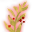 Ervas do Sol.png