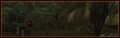 Floresta.jpg