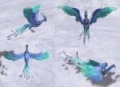 Fenix04.jpg