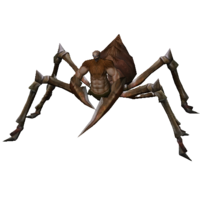 Aranha Soldado Agressiva