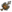 Lâmina Cinco Elementos.png