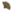 Leque da Salvação.png