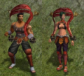 Guerreiro Lorde 2.PNG