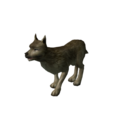 Cão Selvagem.png