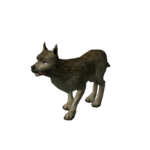 Cão Selvagem.png