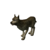 Cão Selvagem.png