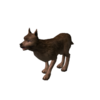 Cão Selvagem Feroz.png