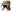 Chapéu da Luz do Sol.png