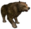 Urso.png