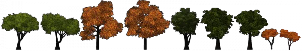 Arvores9.png