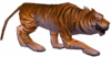 Tigre Feroz.png