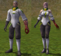 Esgrima3.png