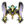 Faixa Chou (Fina).png