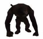 Macaco Lutador