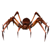 Aranha Besta Mortal.png