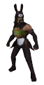 Fato Coelho Castanho5.png