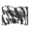 Couro de Tigre Branco.png