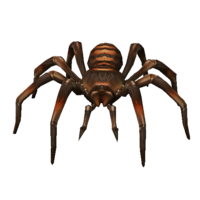 Aranha Pequena.png