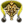 Faixa de Mestre (Nobre).png