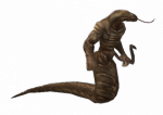 Cobra Arqueira