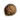 Semente de Pêssego.png
