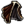 Capa de Bravura