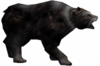 Urso Negro.png