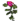 Erva Rosa.png