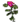 Erva Rosa.png