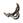 Chakram Asa do Diabo.png