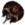 Leque do Demónio.png
