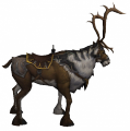 RenaMJovem.png