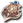 Escudo Titã.png