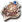 Escudo Titã