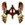 Faixa You (Básica).png