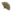 Leque Aquático.png