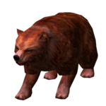Urso Vermelho